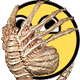 jimbobcook's Avatar