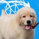Nickchick's Avatar