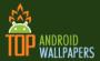 LiveWallpapers's Avatar