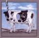 divinebovine's Avatar