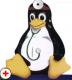 docp's Avatar