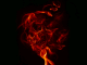 jforten420's Avatar