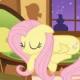 Fluttershy's Avatar