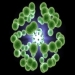 rogue6's Avatar