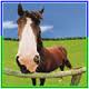 XstitchCowgirl's Avatar