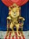 king lion's Avatar