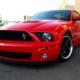 06Stang's Avatar