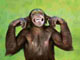 trucky's Avatar