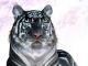 BlackTigress's Avatar