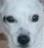 johnmandy's Avatar