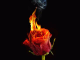 Mcbr0513's Avatar