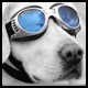coldmonkey's Avatar
