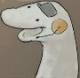 Hoity Toity's Avatar