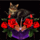 isis67's Avatar