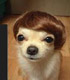 adseguy's Avatar