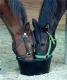 2horses's Avatar