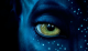 webby62's Avatar