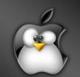 iPenguin's Avatar