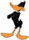 daffyduck's Avatar