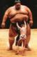 Sumo's Avatar