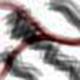 NullCoding's Avatar