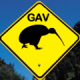 gavkiwi's Avatar