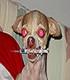 colusaboy's Avatar