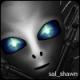sal_shawn's Avatar