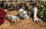 sixpack's Avatar
