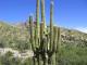 JB in AZ's Avatar