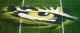 racerxe24's Avatar