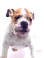 joseamirandavelez's Avatar