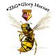 GloryHornet's Avatar