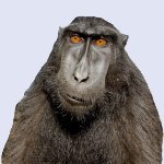 Aggie12's Avatar