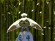 yayo530's Avatar