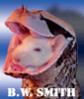 bwsmith's Avatar