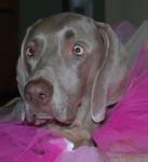 got2weims's Avatar