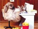 Thumper's Avatar