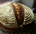 breadnatty08's Avatar