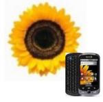 ilovesunflower's Avatar