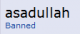 asadullah's Avatar