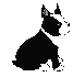 pirahna's Avatar