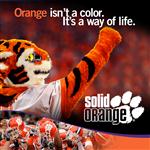 SolidOrange's Avatar