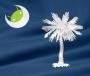 Palmetto Fellow's Avatar