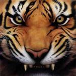 Tiggercat's Avatar