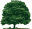 WoodlawnTom's Avatar