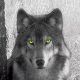 Maxiewolf's Avatar