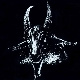 Casanunda's Avatar