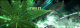 ha3kthi5's Avatar
