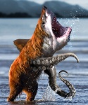 Bales's Avatar